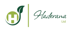 Haderana