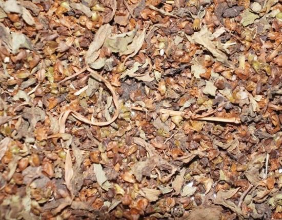በሶቢላ/Besobila (Sacred Basil) For 1KG