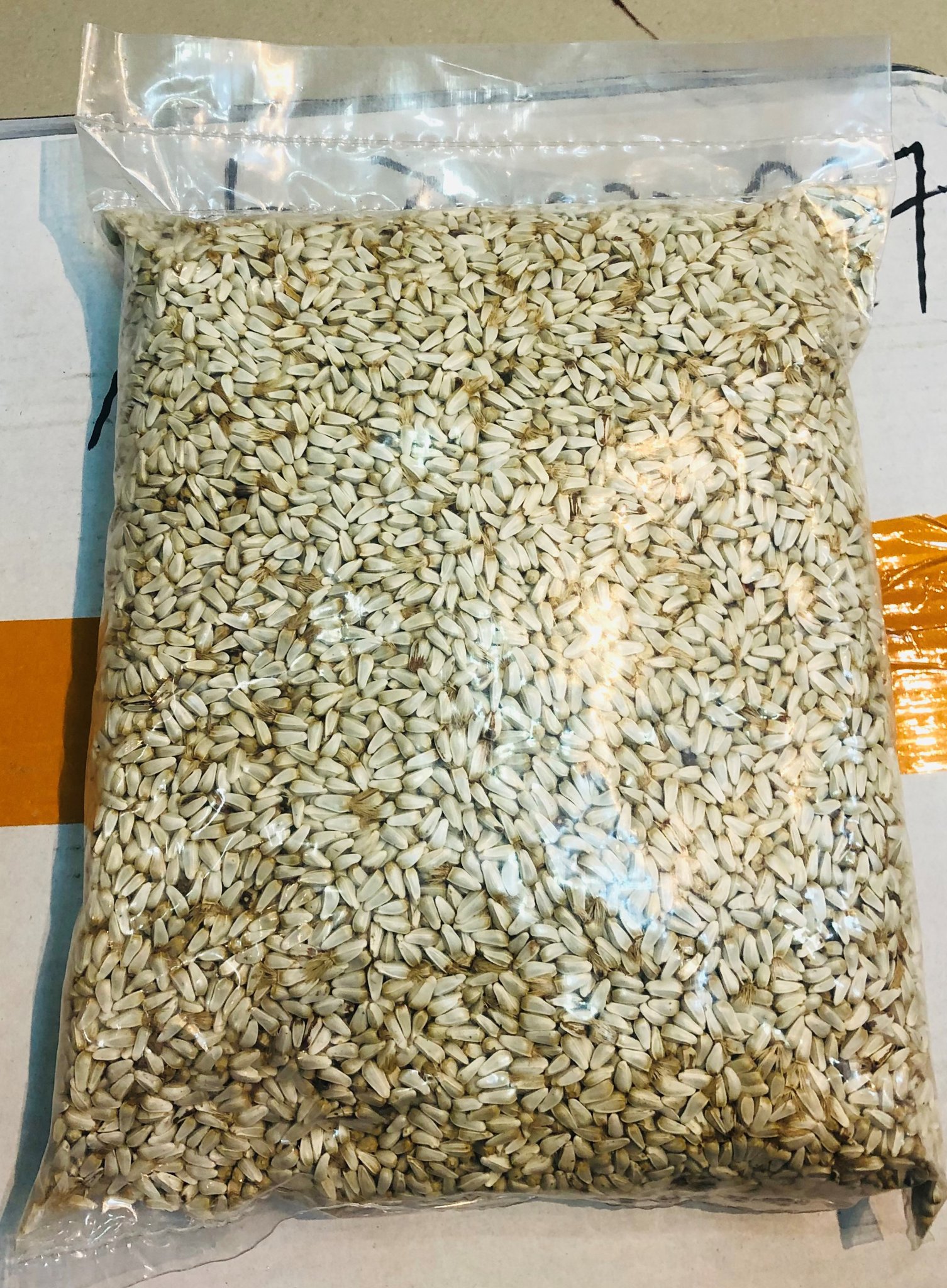 Ethiopian Suf Seed (ሱፍ) - 1 KG